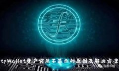 tpWallet资产突然不显示的原